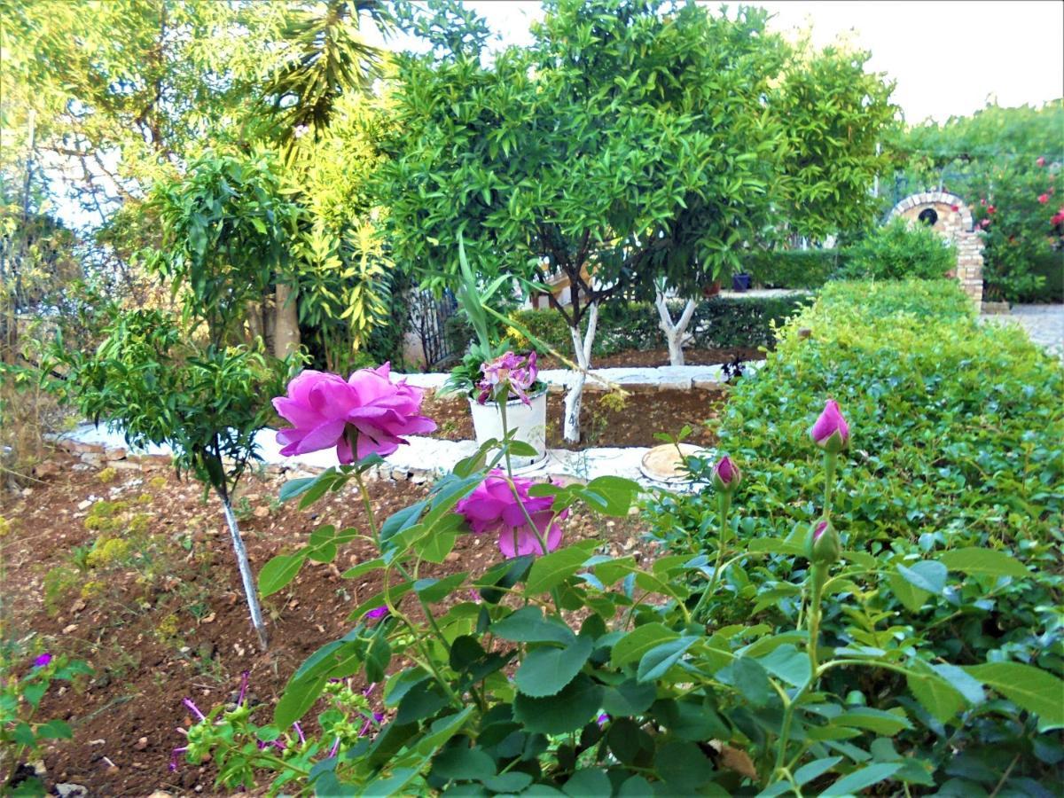 Vila Ori คซามิล ภายนอก รูปภาพ