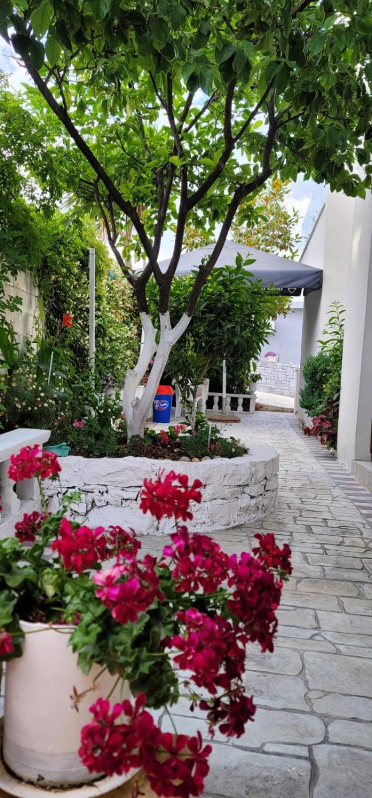 Vila Ori คซามิล ห้อง รูปภาพ